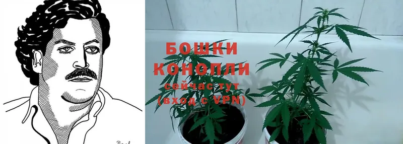 где продают   Каргополь  ссылка на мегу ссылки  Бошки марихуана OG Kush 